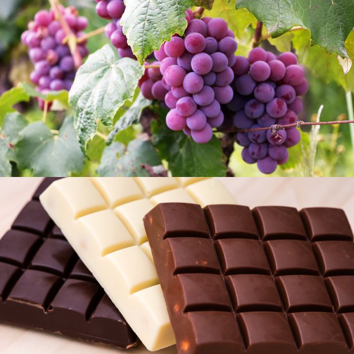 a chocolate bars and grapes